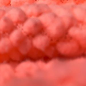 Meet your Posher, Mia